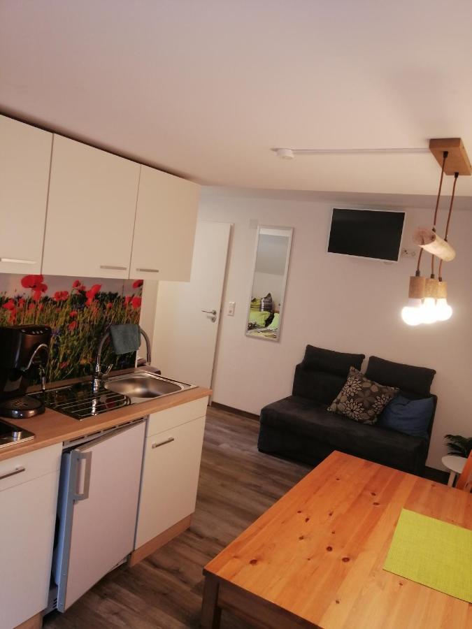 Kleine Wohnung Wutoschingen Εξωτερικό φωτογραφία
